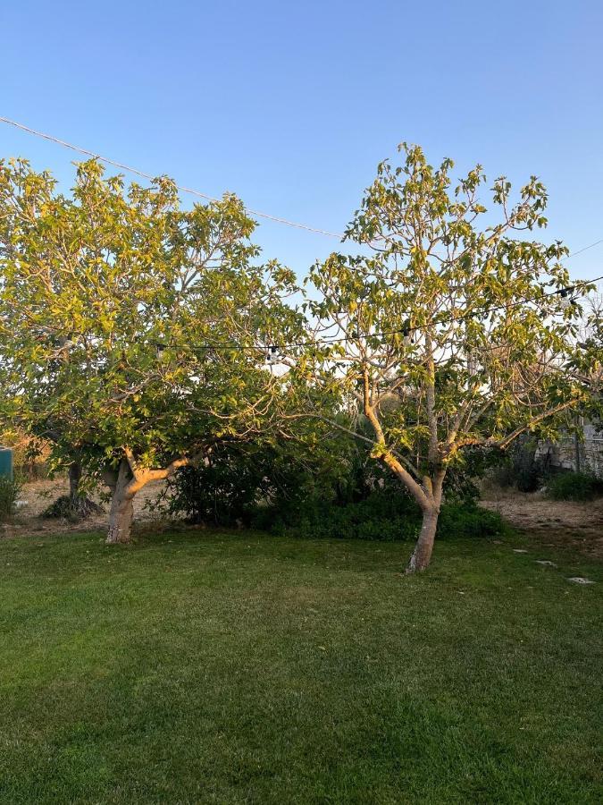 Vila Li Papi Galatone Exteriér fotografie