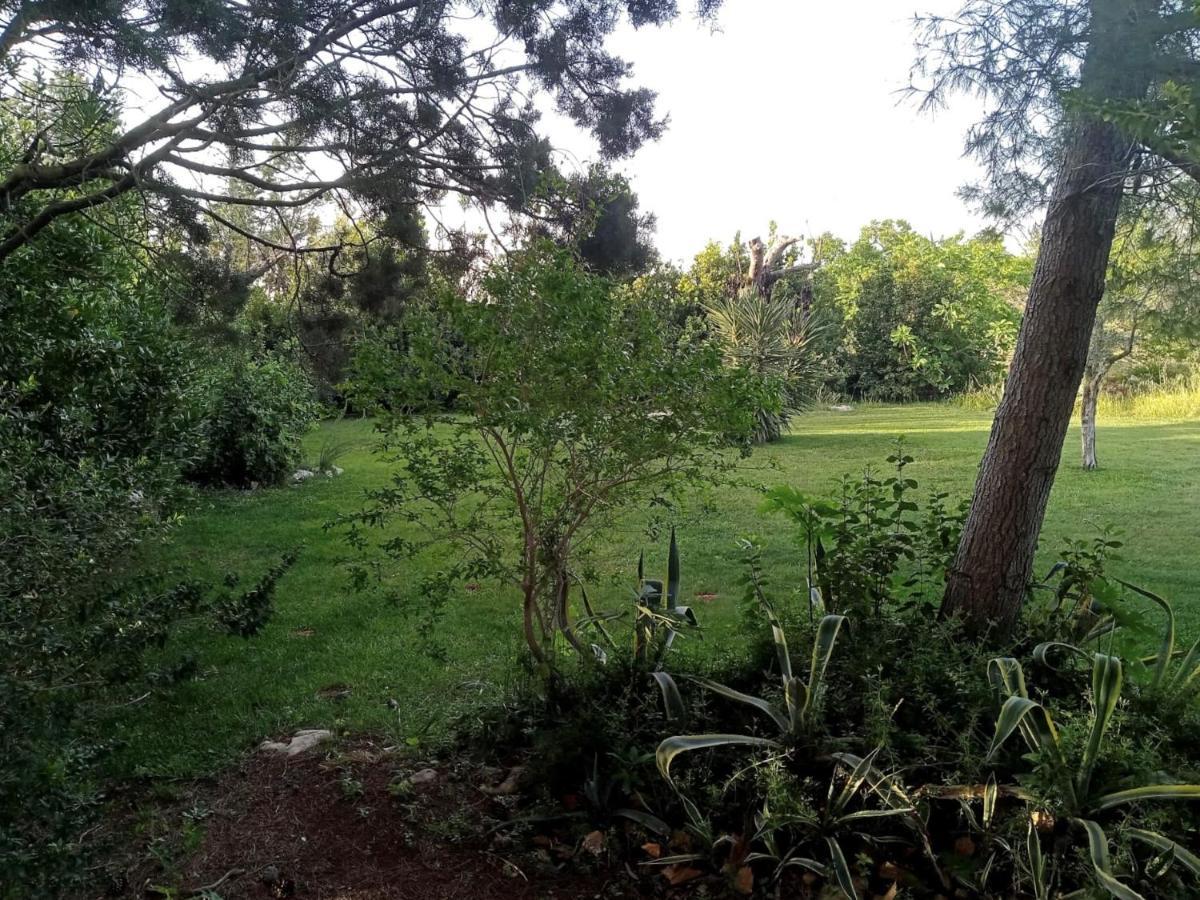 Vila Li Papi Galatone Exteriér fotografie